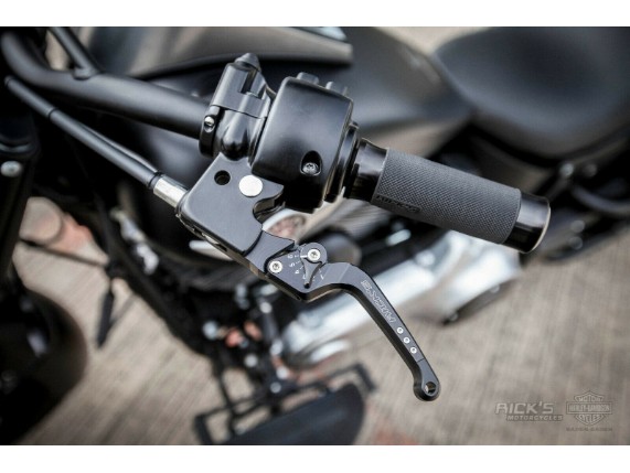 Ricks-Harley-V-Rod-2002-2005-verstellbare-Brems-und-Kupplungshebel-in-schwarz-283409384183-9