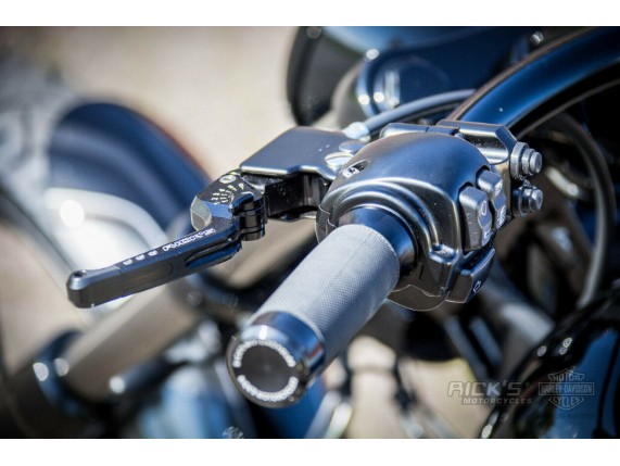Ricks-Harley-V-Rod-2006-2017-verstellbare-Brems-und-Kupplungshebel-in-schwarz-273751268961-6
