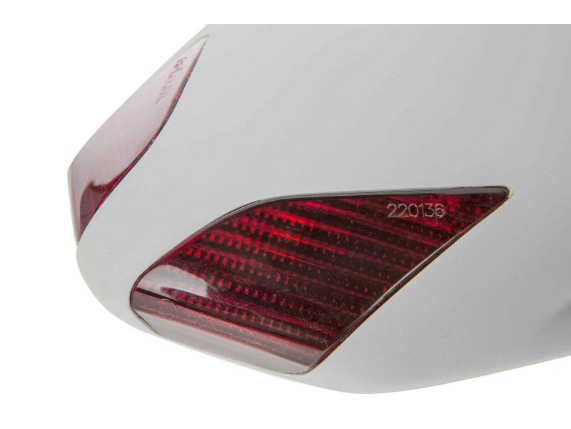 Ricks-Harley-V-Rod-ab-2007-Streetfighter-Hinterradabdeckung-GFK-283399037781-5