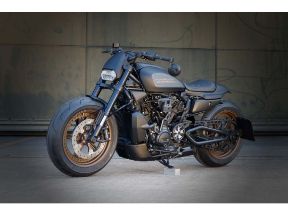 Ricks-Sportster-S-schwarz-matt-C0A1584