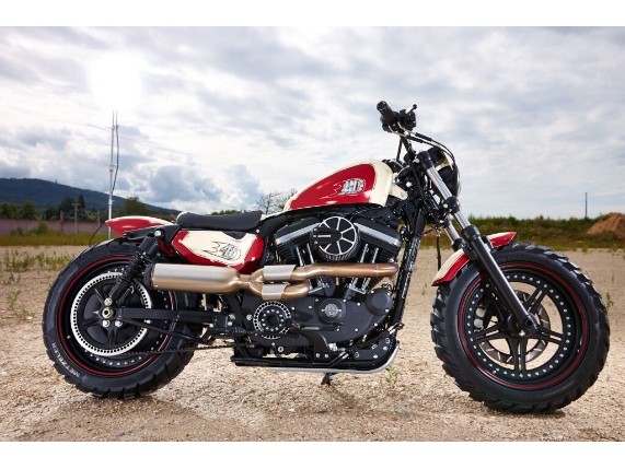 Ricks-Sportster-Sprocket-Cover-gelocht-ab-2005-282795387818-3
