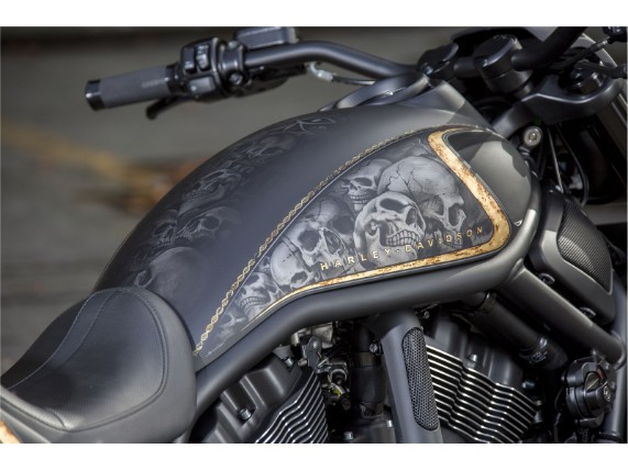 Ricks-VRod- febr 016-013