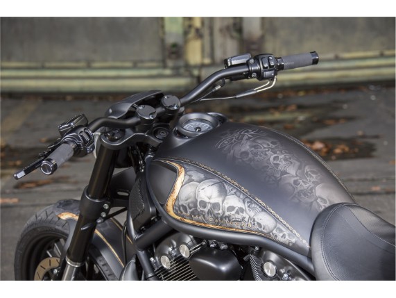 Ricks-VRod- febr 016-032