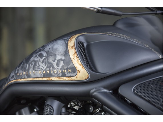 Ricks-VRod- febr 016-055