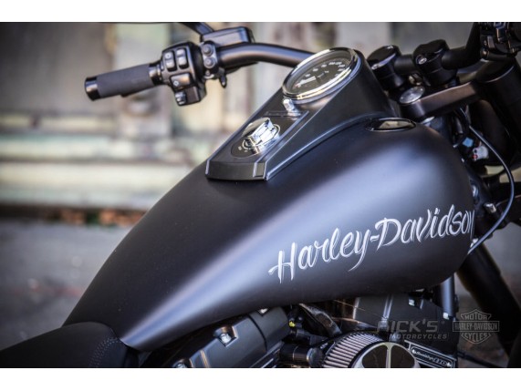 Softail-Fat-Boy-S-300-Bruno-Stimpel-_055-1024x683