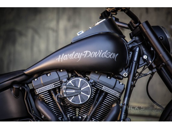 Softail-Fat-Boy-S-300-Bruno-Stimpel-_061-1024x683