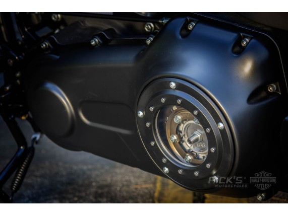 Softail-Slim-300-schwarz-matt-Ricks-2016-034-1024x683