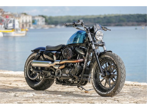 Sportster-Rick-240er-027