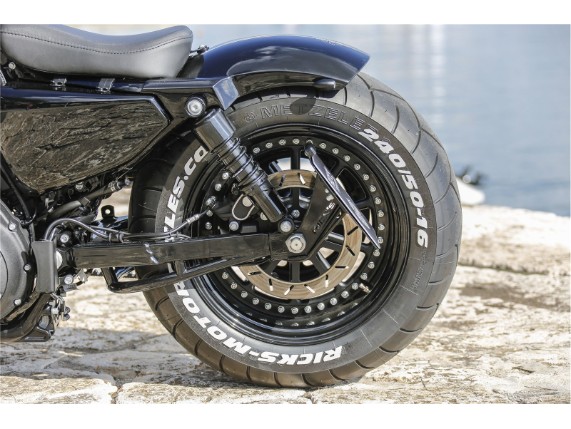 Sportster - Rick - 240er - 043