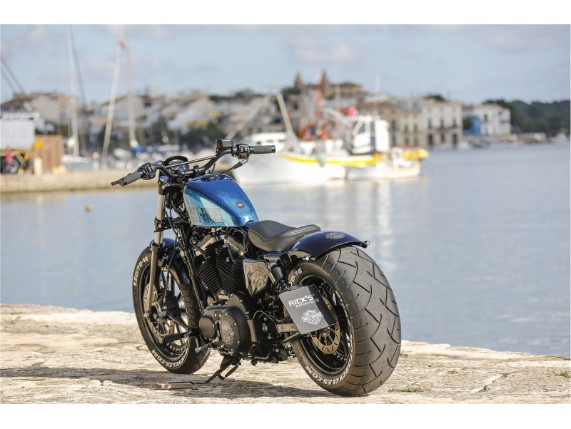 Sportster - Rick - 240er - 048