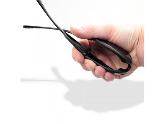 Springboard-SM-Hand-jpg_600x600