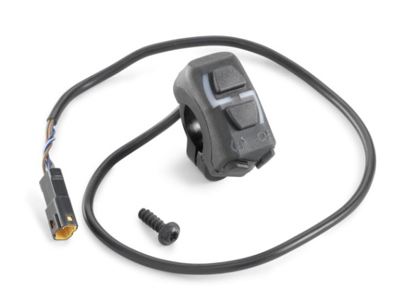 pho_nmon_a46039974044_combination_switch__sall__awsg__v1