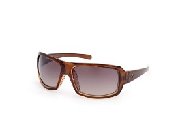 Damen Sonnenbrille HZ0050 Common Bond in Brown Crystal