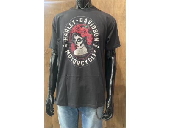 40294620 Calavera Front