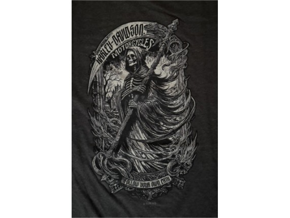 Collector_Front_2_40294715