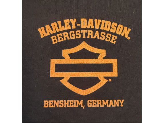 Glimmer-Back_40294750