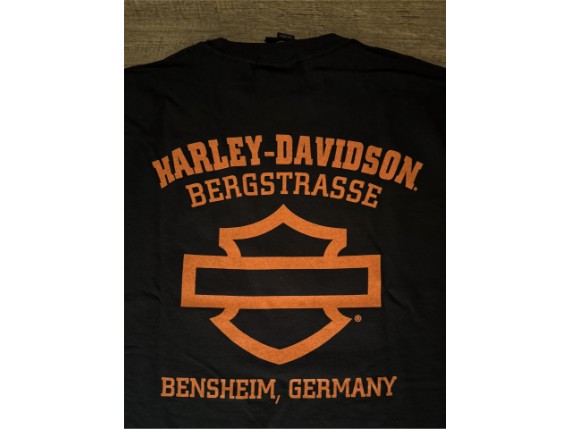 Haunted_Back_40294702