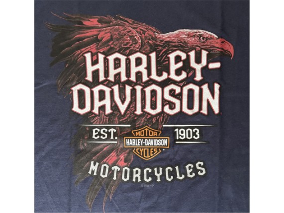 Smokescreen_Front_2_40294707