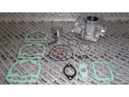 Zylinder Kit Rotax 122 mit Kolben im Austausch