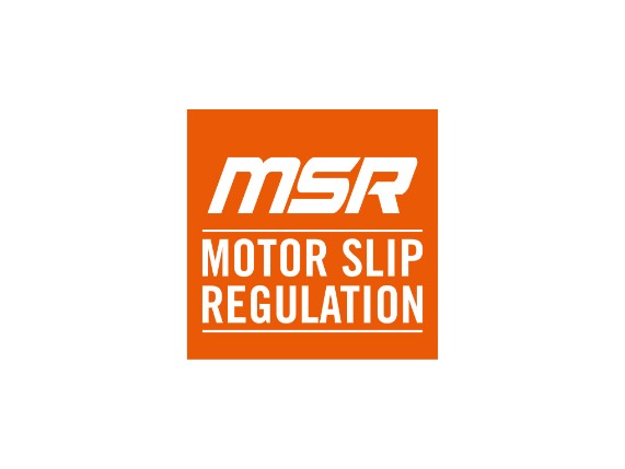 pho_pp_nmon_msr_motor_slip_regulation__sall__awsg__v1