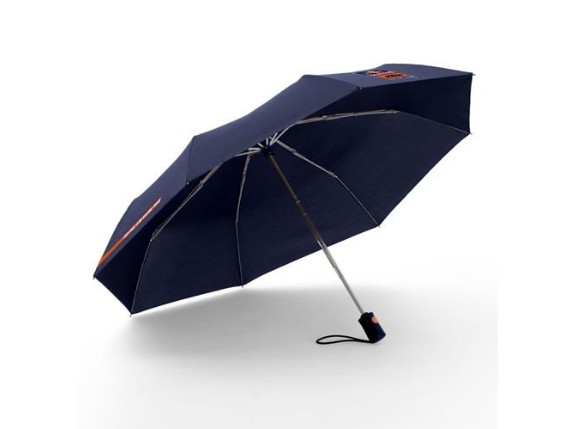 RB Fletch Umbrella 2