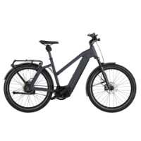 Riese und Müller Charger4 Mixte GT vario