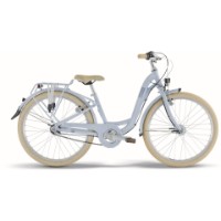 Fahrrad Skyride 24