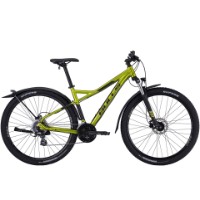 Sharptail Street 3