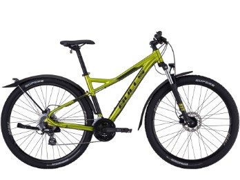 Sharptail Street 3