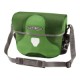 kiwimoss/green