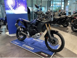 XTZ700 Ténéré World Raid