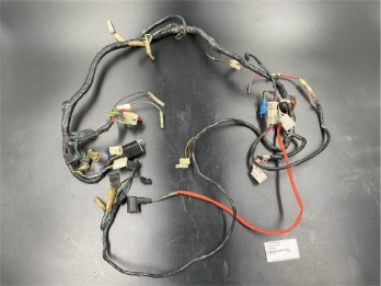 Kabelbaum TT600S