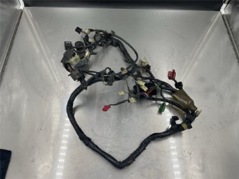 Kabelbaum XRV750 RD07 Africa Twin