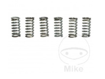 Kupplungsfedern verstärkt