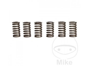 Kupplungsfedern verstärkt