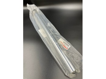 INNERES GABELBEINROHR 1