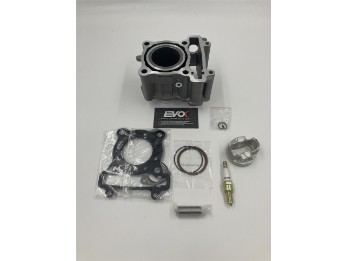 ZYLINDERSATZ EVOK 125CCM D52,0MM LC