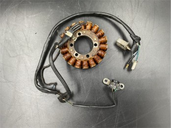 Lichtmaschine Generator XT 600