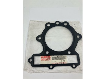 DICHTUNG, ZYLINDERKOPF 1