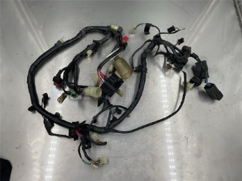 Kabelbaum XRV750 RD07 Africa Twin