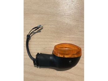 Blinker vorne L