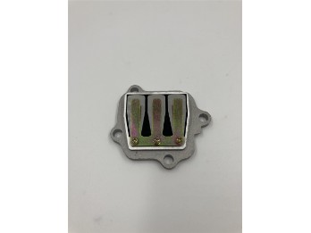 Membrane PW80