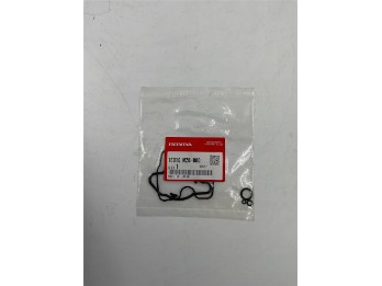 Original Honda Vergaserdichtungssatz Valkyrie GL1500