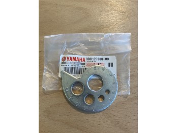 Kettenspanner links