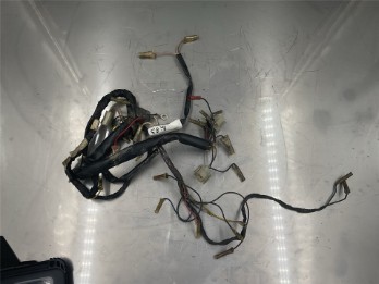 Kabelbaum TT600 59X