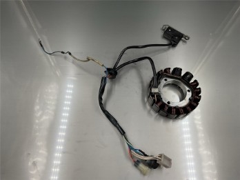 Lichtmaschine Generator XT 600