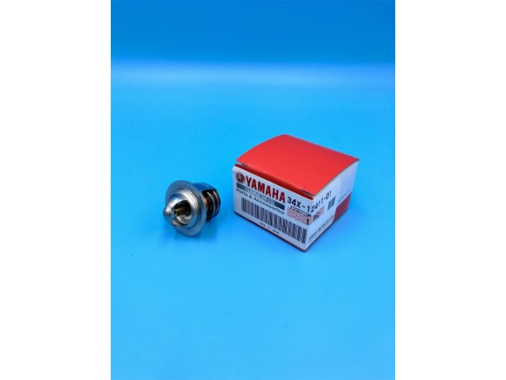 34X-12411-01-00 THERMOSTAT DT125 TDR125 (1)