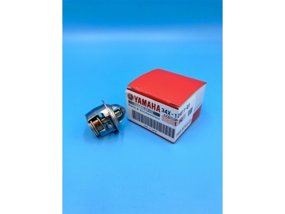 34X-12411-01-00 THERMOSTAT DT125 TDR125 (2)