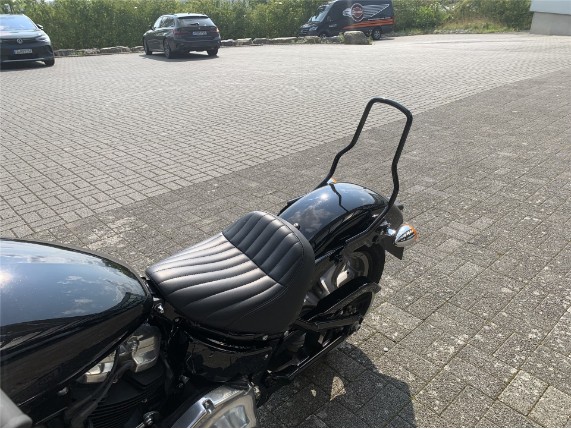 HARLEY-DAVIDSON SOFTAIL STANDARD, 5HD1BVJ43NS063352
