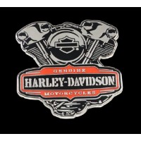 Pin HD Twin Cam